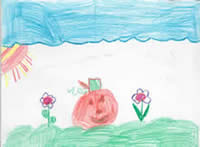 pumpkin in a garden